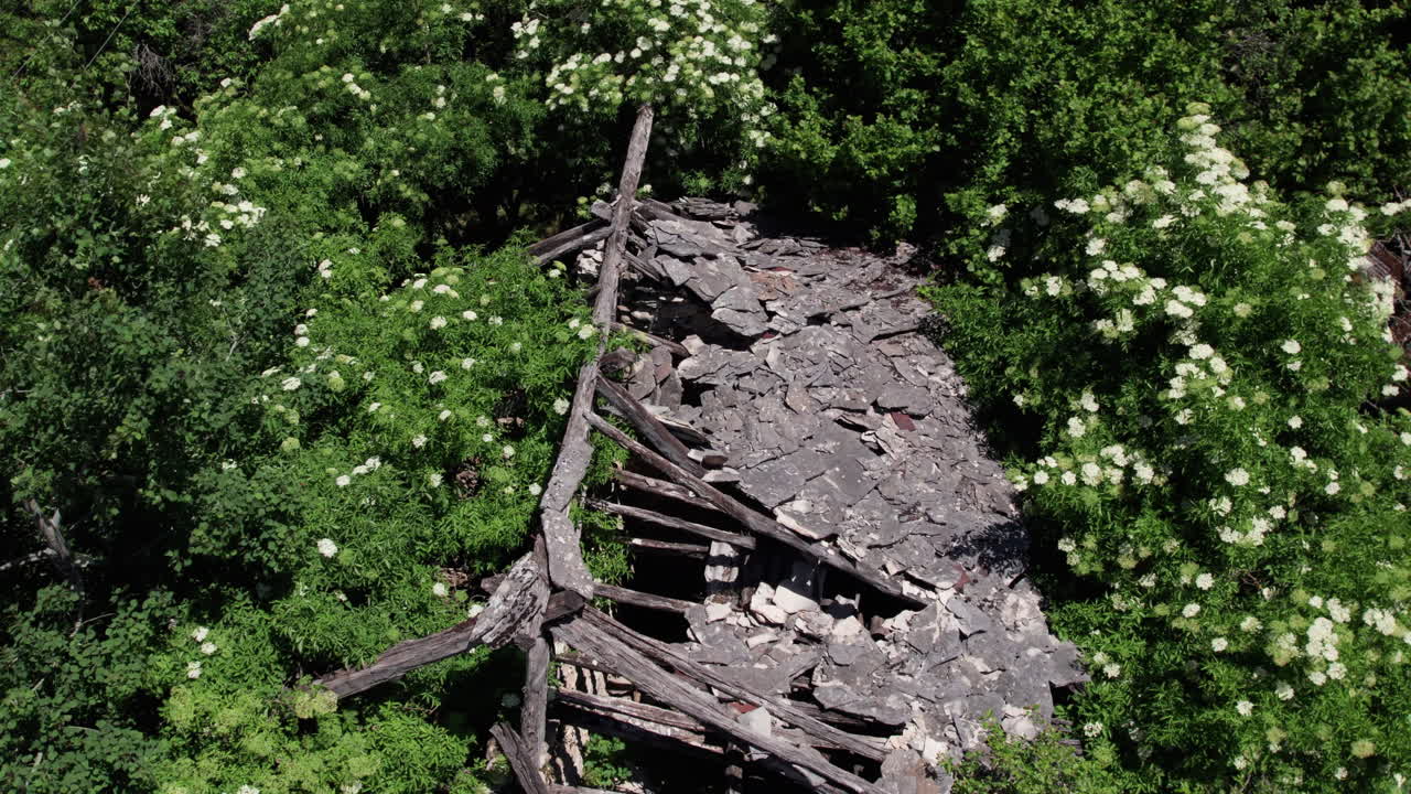 Aerial drone close up of an old collapsed stone roof surrounded by lush green plants and white flowers in an abandoned mountain village in Bosnia and Herzegovina. Symbol of decay and nature reclaiming