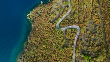 car drive on curvy road in colorful autumn next to lake, top down aerial