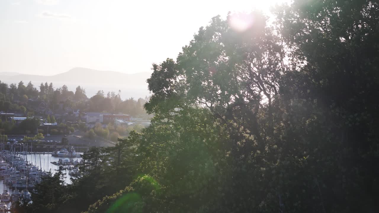 Marina Views From Cap Sante Park In Skagit, Washington, USA. - slider