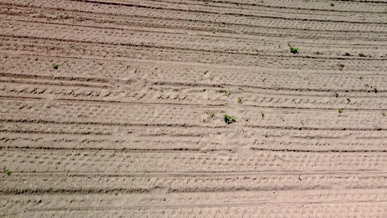 식물을 심고 재배하기 위해 준비된 마른 경작지