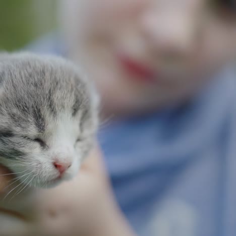 Baby-holds-newborn-kitten-2