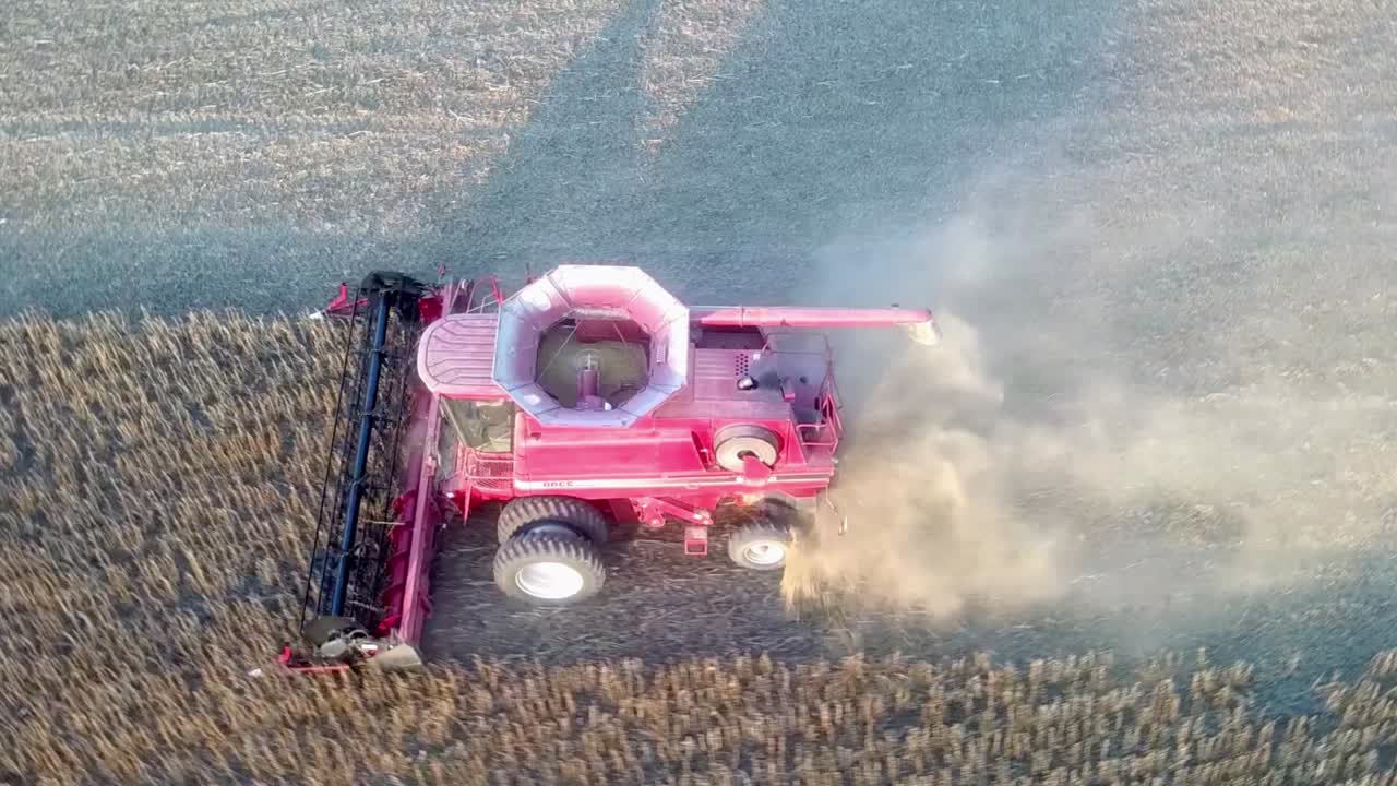 호퍼의 내용물이 선명하게 보이는 먼지투성이 밭에서 콩을 수확하는 빨간색 겸용 수확기