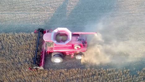cosechadora roja recogiendo soja en un campo polvoriento con el contenido de la tolva claramente visible