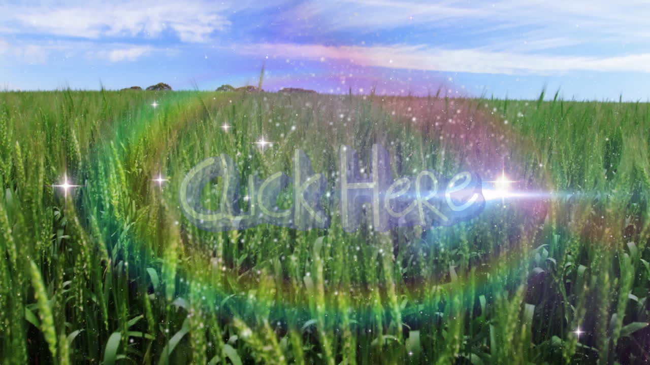 Lush green wheat field being animated with rainbow lens flare and glowing white sparkles