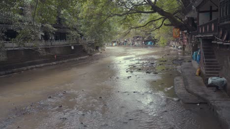 Two-water-birds-foraging-in-the-stream-of-ancient-town