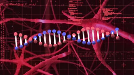 Animation-of-dna-strand-and-data-processing-over-black-background