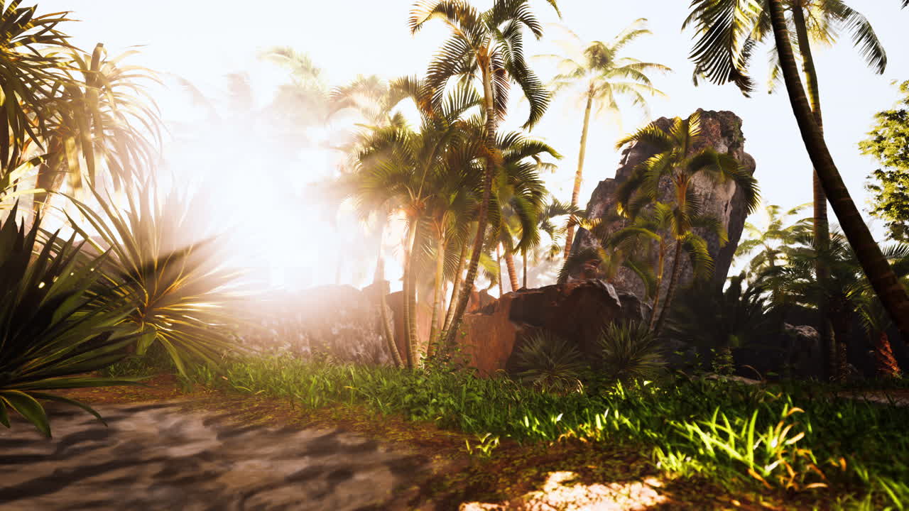 isla tropical con palmeras y vegetación exuberante