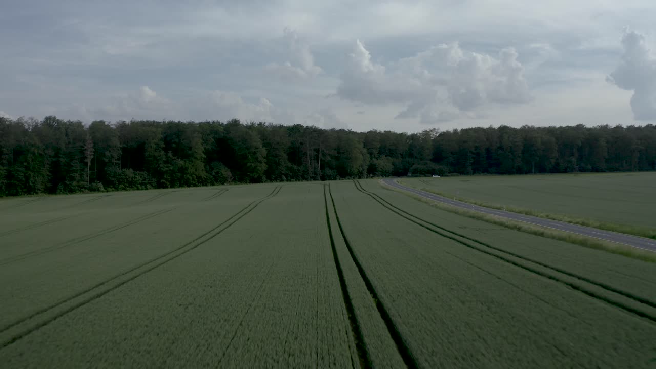 Drohnenaufnahme aus geringer Höhe von frischen Pflanzen auf einem Feld in Deutschland.