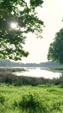 serene lake landscape with sunlight through trees