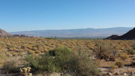 Low-drone-fly-over-of-scrub-brush-on-desert-floor