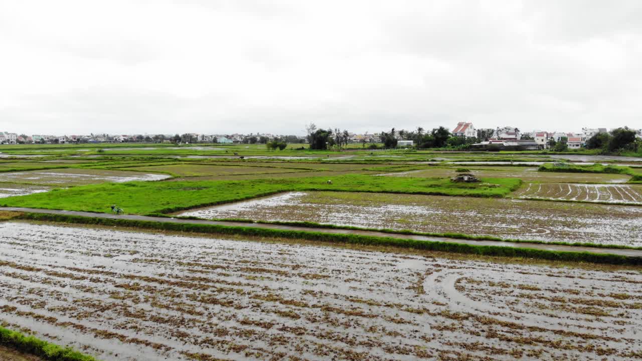 베트남 호이안 의  ⁇   ⁇ , 드론 에 의해  ⁇ 처 된 돌리  ⁇