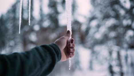 man grabbing icicle and breaking it off in his hand on a cold, snowy winter day
