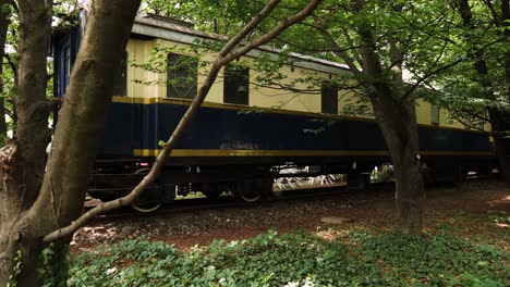 tren de vapor vintage abandonado aislado con cuerpo de metal negro y ruedas rojas y blancas con vagón retro parado en la vía rodeado de árboles en italia