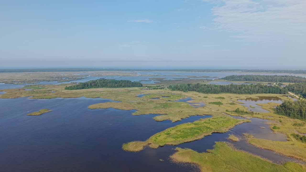Drone view of serene swamp reserve with lush greenery and calm waters