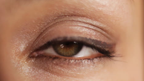 oog 03