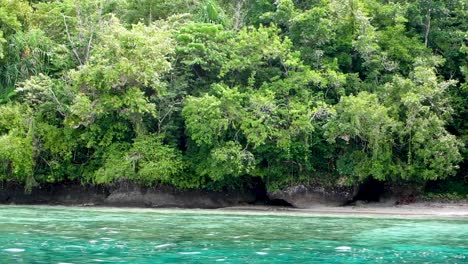 pristine tropical island and ocean in bougainville, papua new guinea