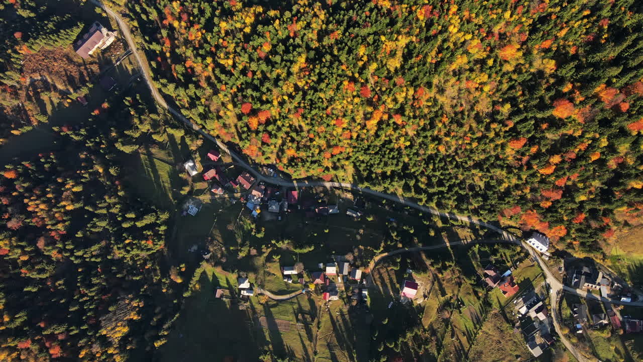 Aerial drone view of nature in Romania. Carpathian mountains, village in a valley, hills covered with lush yellowing forest