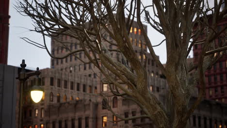 cityscape at twilight with bare tree and streetlights