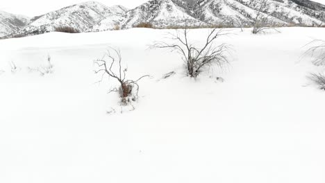 Eine-Enthüllung-Eines-Schneebedeckten-Feldes-Am-Fuße-Eines-Berges-Im-Winter