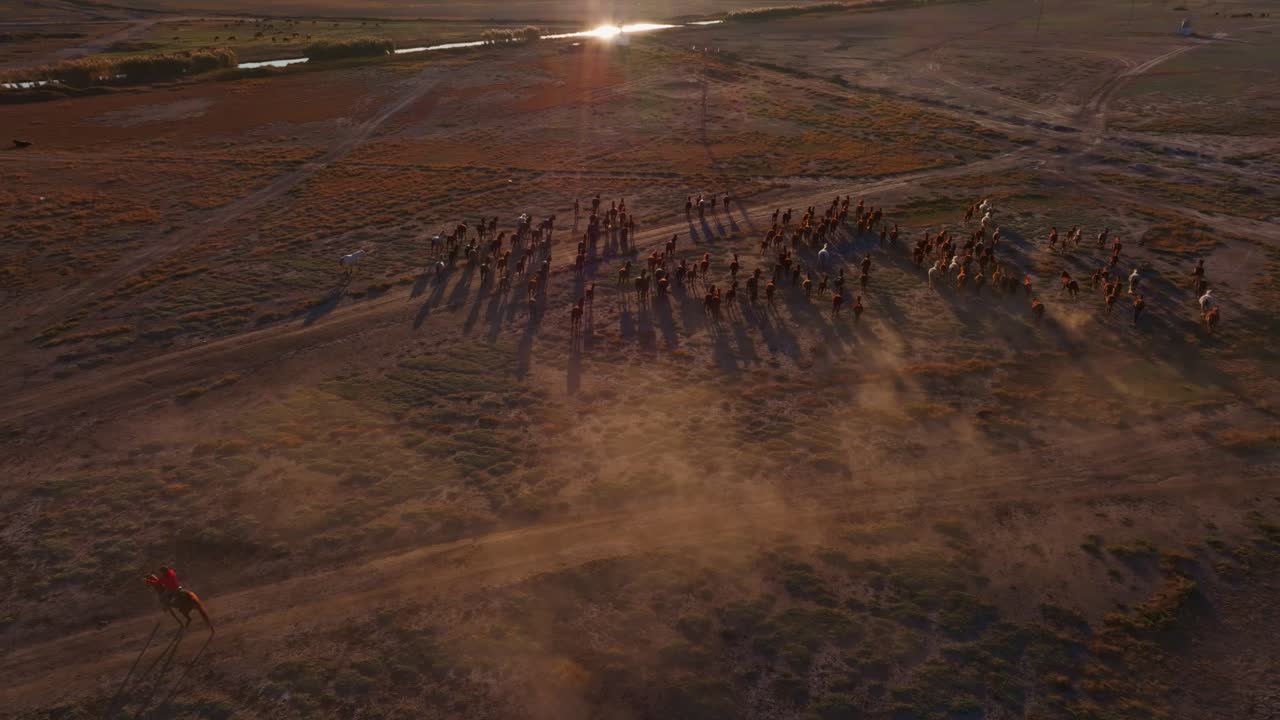 Kayseri, Turkey, offers serene sunset views with wild horses