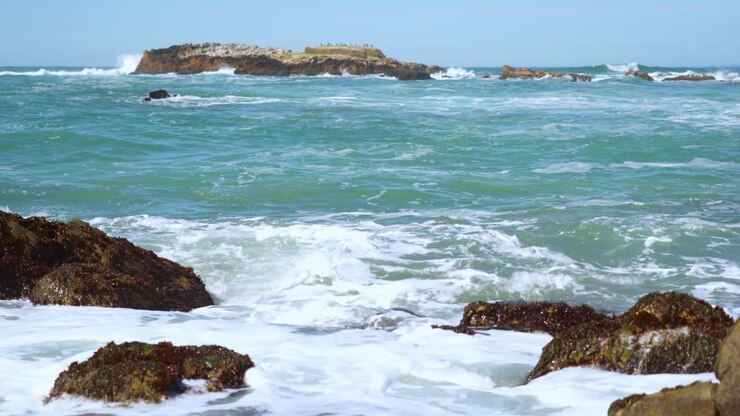 Pescadero state beach and cliffs number nine