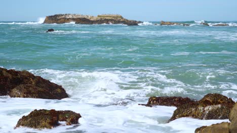 pescadero state beach and cliffs number nine