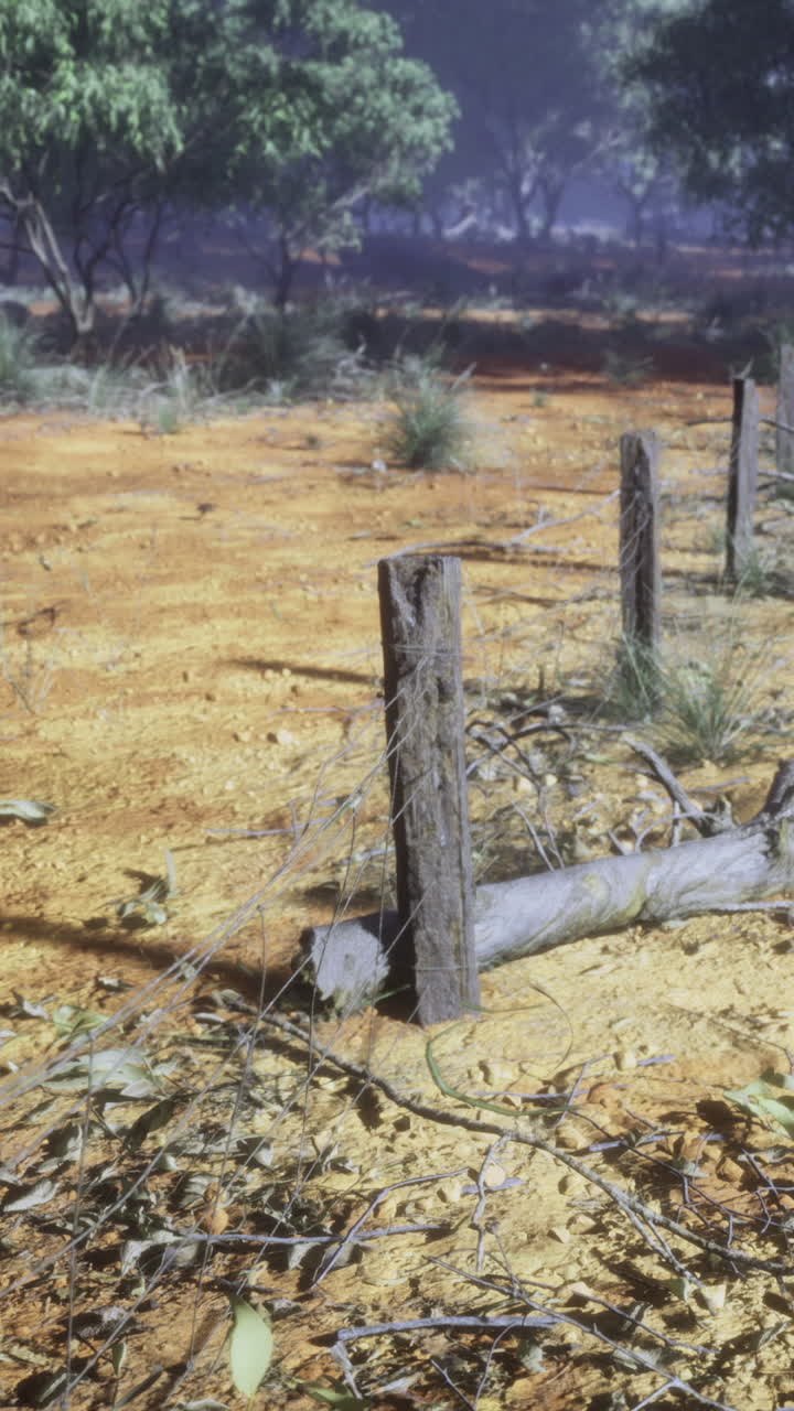 Exploring a tranquil terrain marked by rustic posts under a bright sky