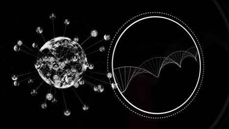 animación digital del globo de la red de conexiones y la estructura del adn girando sobre fondo negro