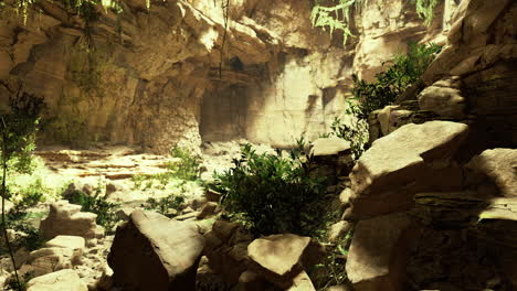 Exploring a mystical cave filled with vibrant foliage and ancient rocks