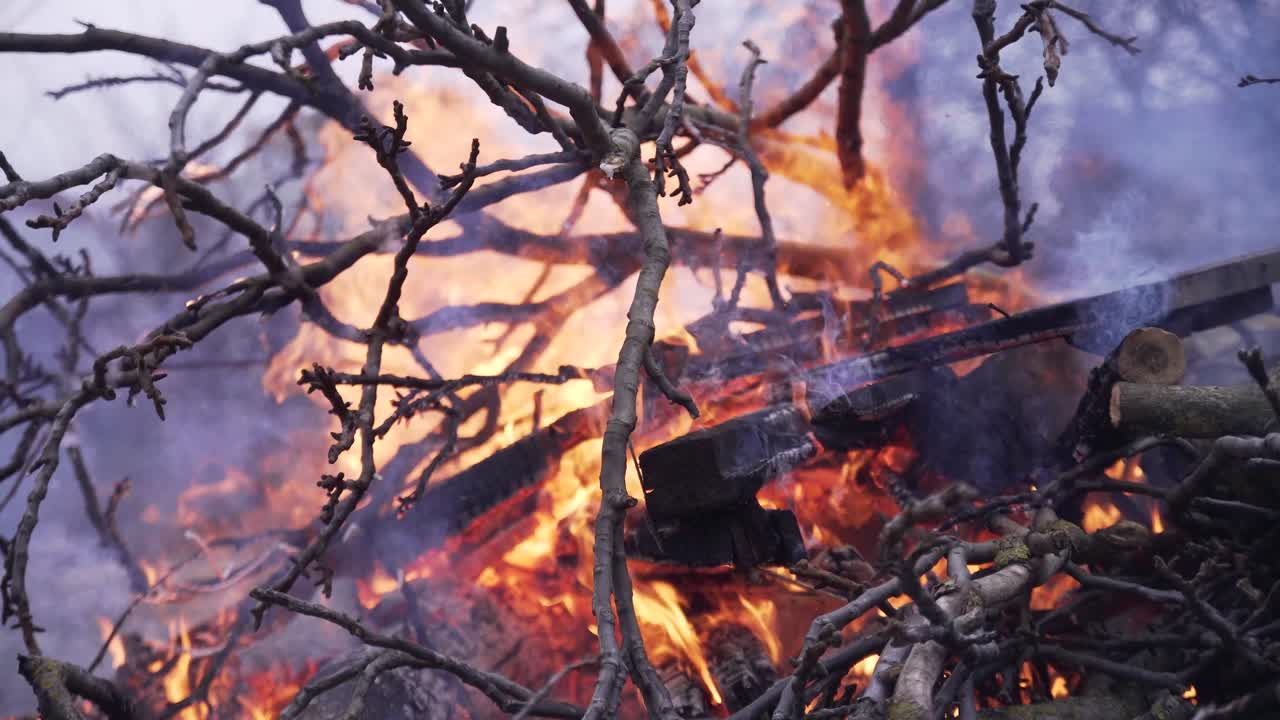 Burning branches, trees, leaves in the forest. Smoke from a fire in nature. Close-up