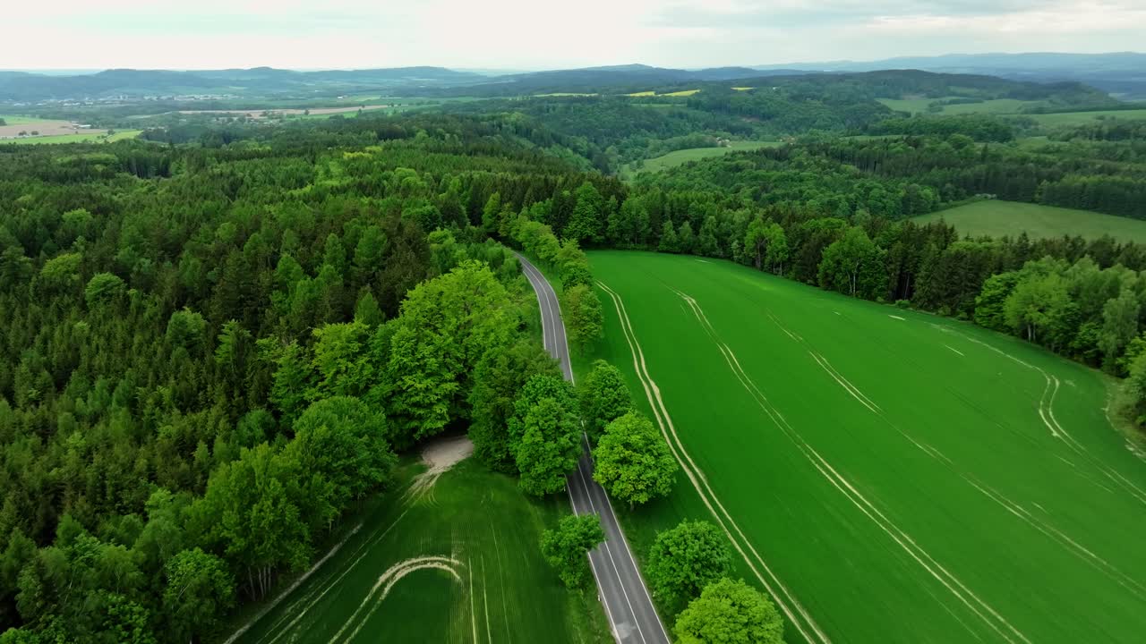 Lot z góry nad drogą obsadzoną zielonymi drzewami. Jarno przybywa do wiejskiego krajobrazu. Czechy.