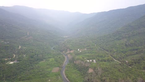 plantación de café en la selva montañosa boliviana