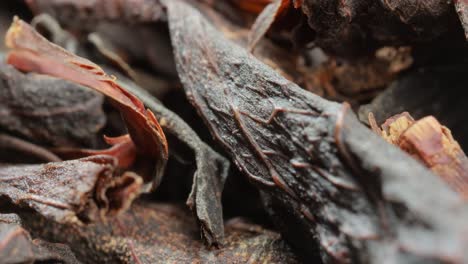 Black-large-leaf-tea-Super-Macro-Close-Up.