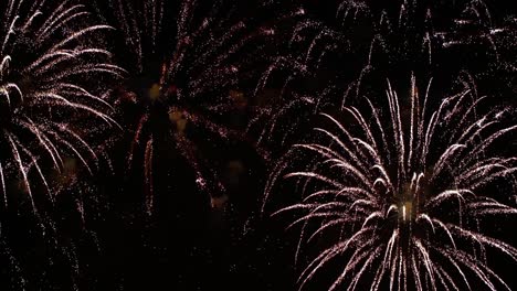 colorful fireworks exploding in the night sky. celebrations and events in bright colors.