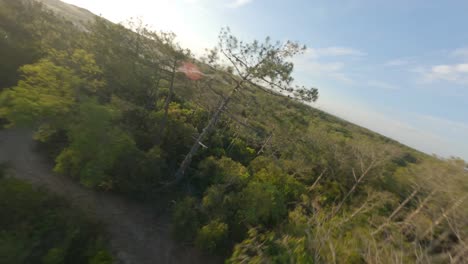 aerial fpv drone flying over forest trees close to beach with ocean in background, soustons in landes department, nouvelle-aquitaine in france