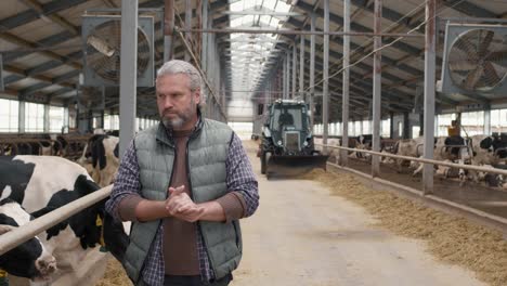 camera focuses on a farmer in a farm with cows around and a tractor