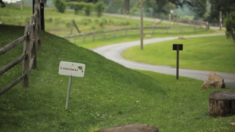 Ein-Auto-Fährt-Zu-Einem-Gemeinschaftsgarten