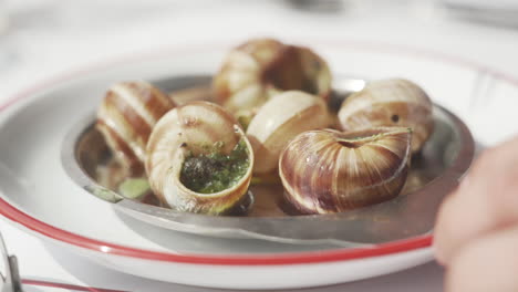 delicious looking escargots in traditional serving dish