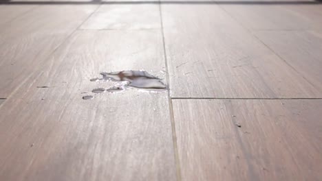 water spill on wooden floor