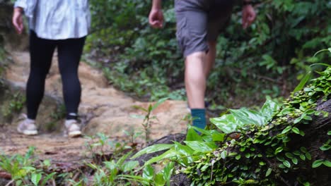 兩個人在亞洲泰國khao sok國家公園的<unk>林中間徒步旅行