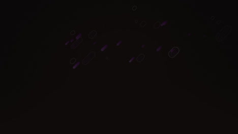 animation of moving purple trails of light on black background