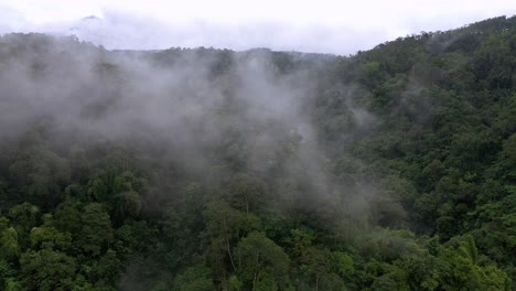 4k nungnung waterfall nestled in bali's jungle in indonesia