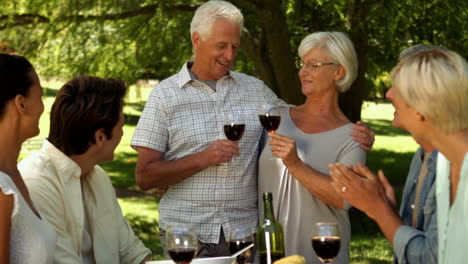 Pareja-De-Ancianos-Brindando-Con-La-Familia-En-El-Parque