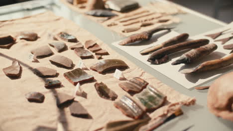 close up of desk with artifacts and tools for archaeological research