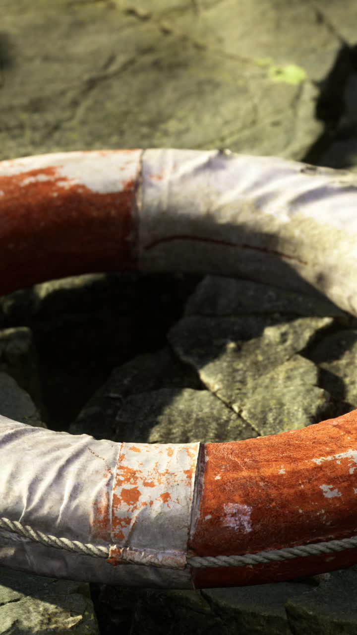 Tranquilla scena costiera con boa vecchia e dolci pozze di marea