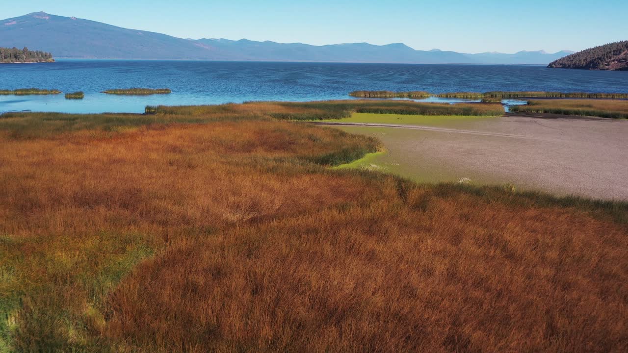오리건주 남부 클래머스 호수 끝에 있는 습지 습지 서식지 위를 날다