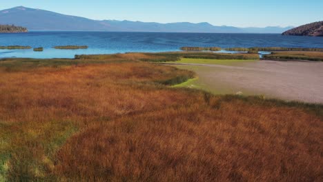 Fliegen-über-Dem-Feuchtgebietssumpflebensraum-Am-Ende-Des-Klamath-Sees-Im-Südlichen-Oregon