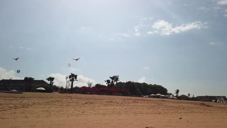 filming beautiful nusa dua beach with dragon fly on the wind in bali indonesia most stunning and tourist destinations. windy summer day with amazing nature