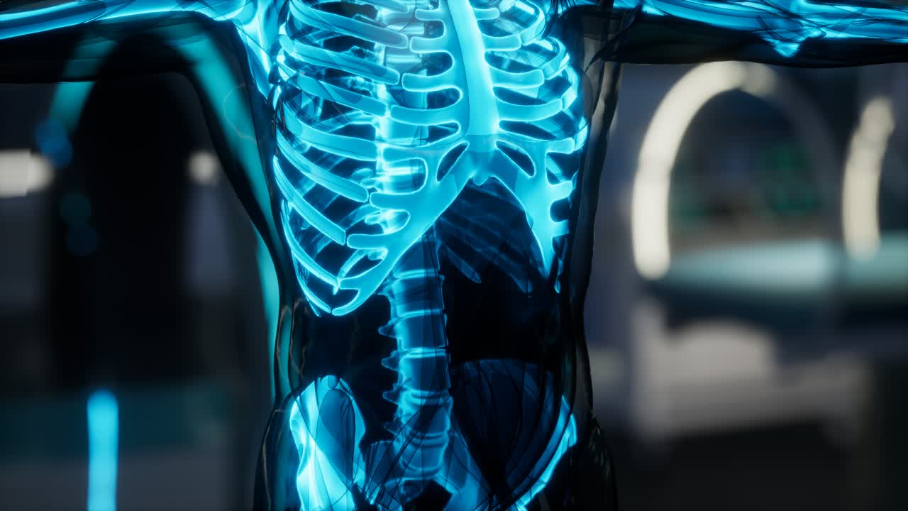 human skeleton bones scan exam in lab