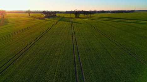 aerial drone panning shot over green agricultural farmland on a sunny morning